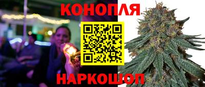 ECSTASY Заводоуковск