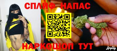 ECSTASY Заводоуковск