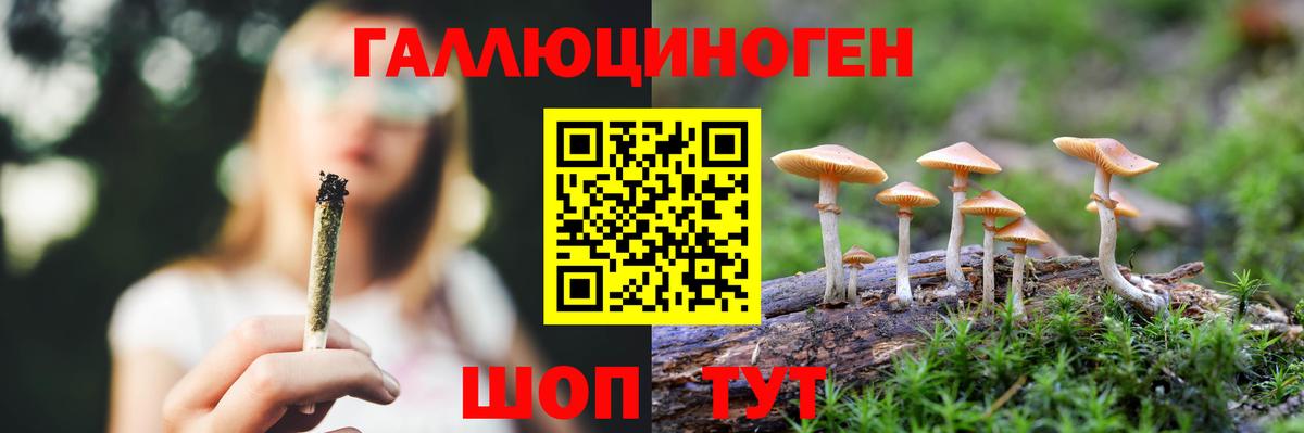Галлюциногенные грибы GOLDEN TEACHER Лесной